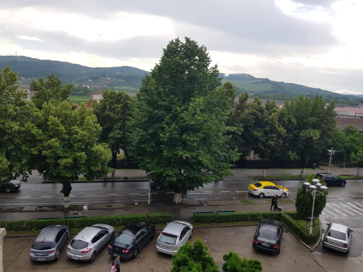 Apartament Posada Curtea de Argeş エクステリア 写真