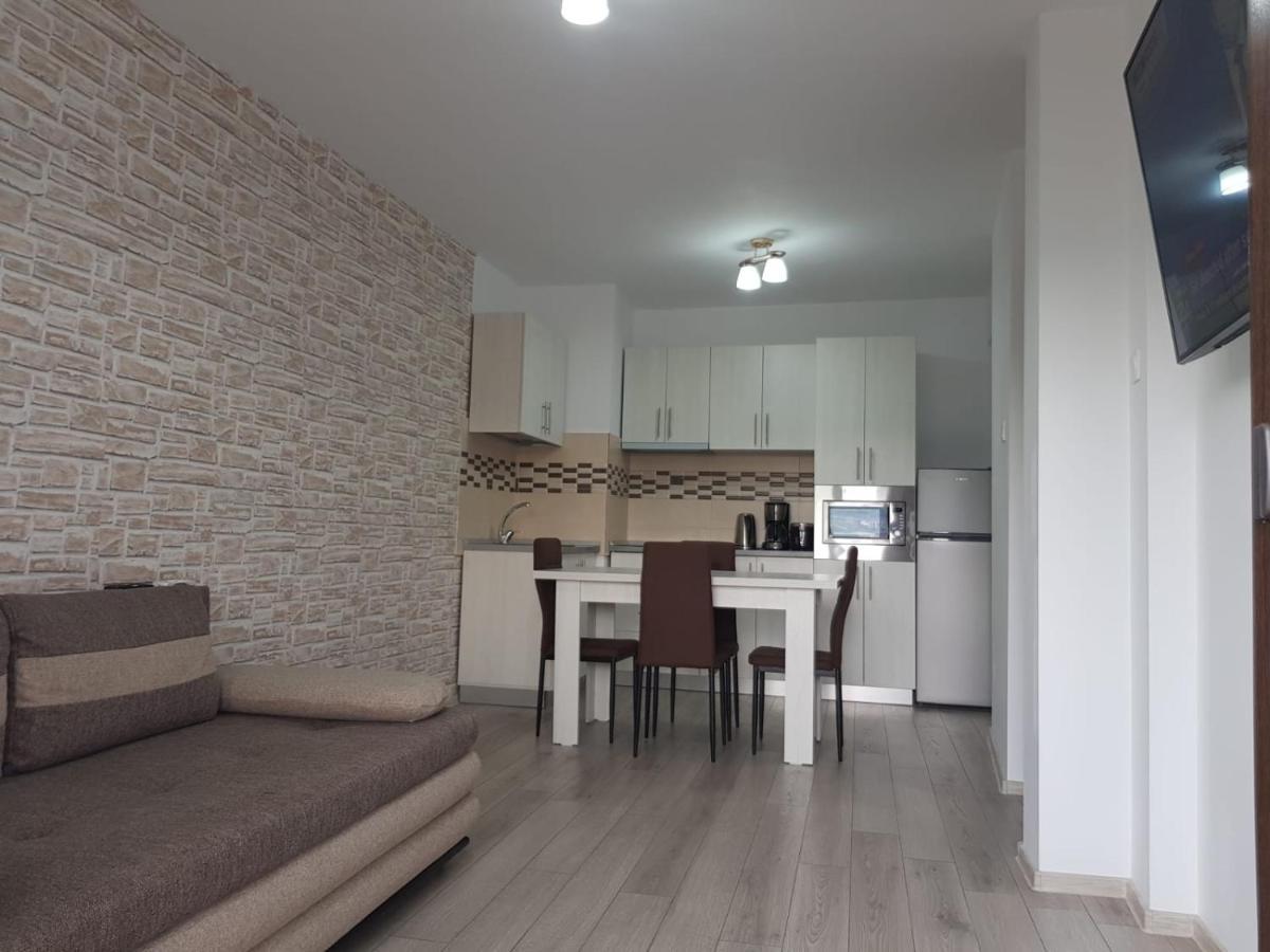 Apartament Posada Curtea de Argeş エクステリア 写真