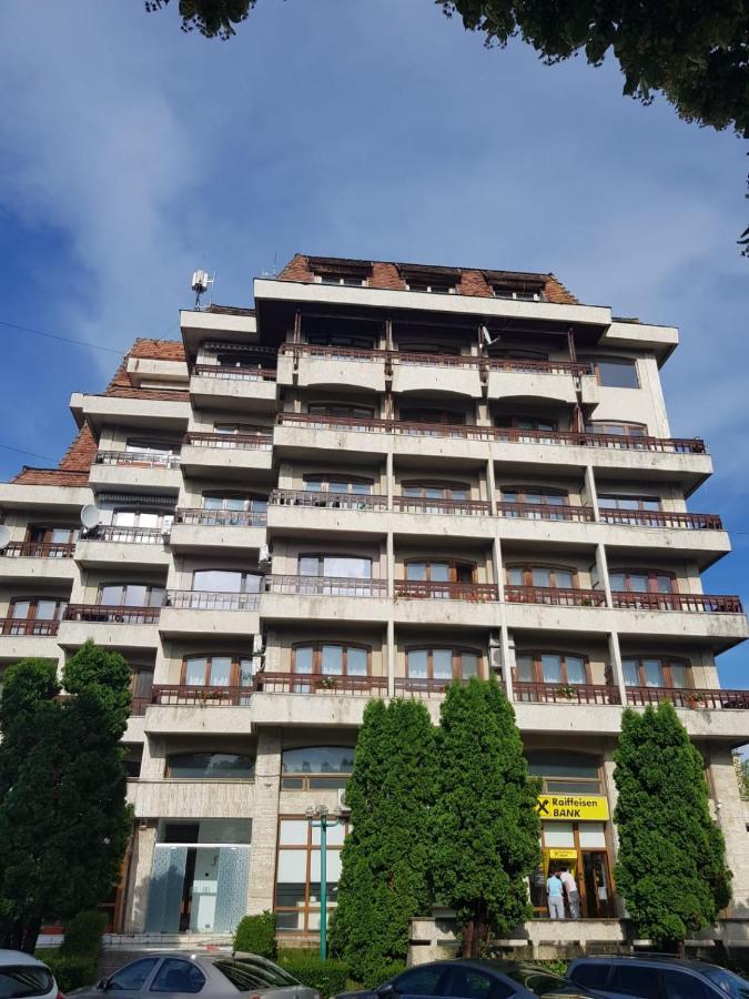 Apartament Posada Curtea de Argeş エクステリア 写真