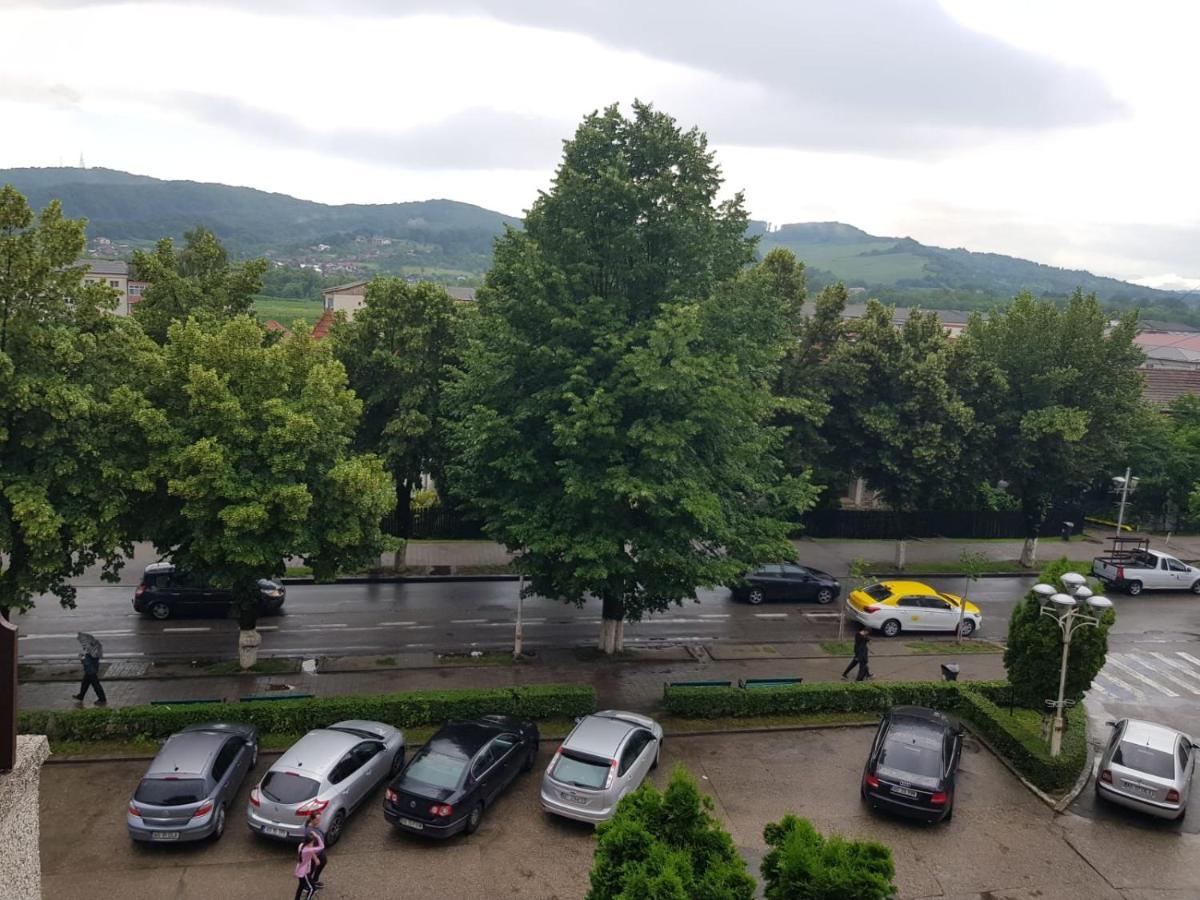 Apartament Posada Curtea de Argeş エクステリア 写真