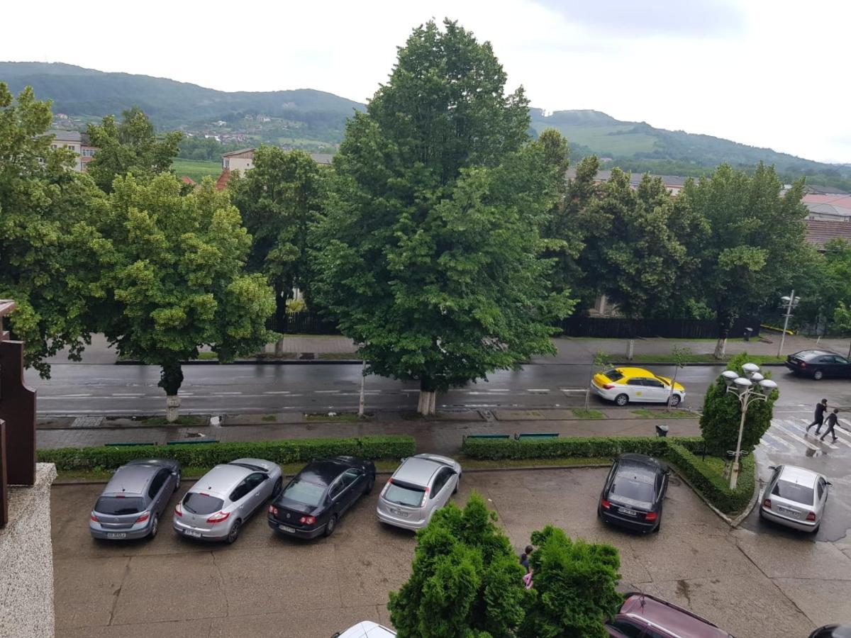 Apartament Posada Curtea de Argeş エクステリア 写真